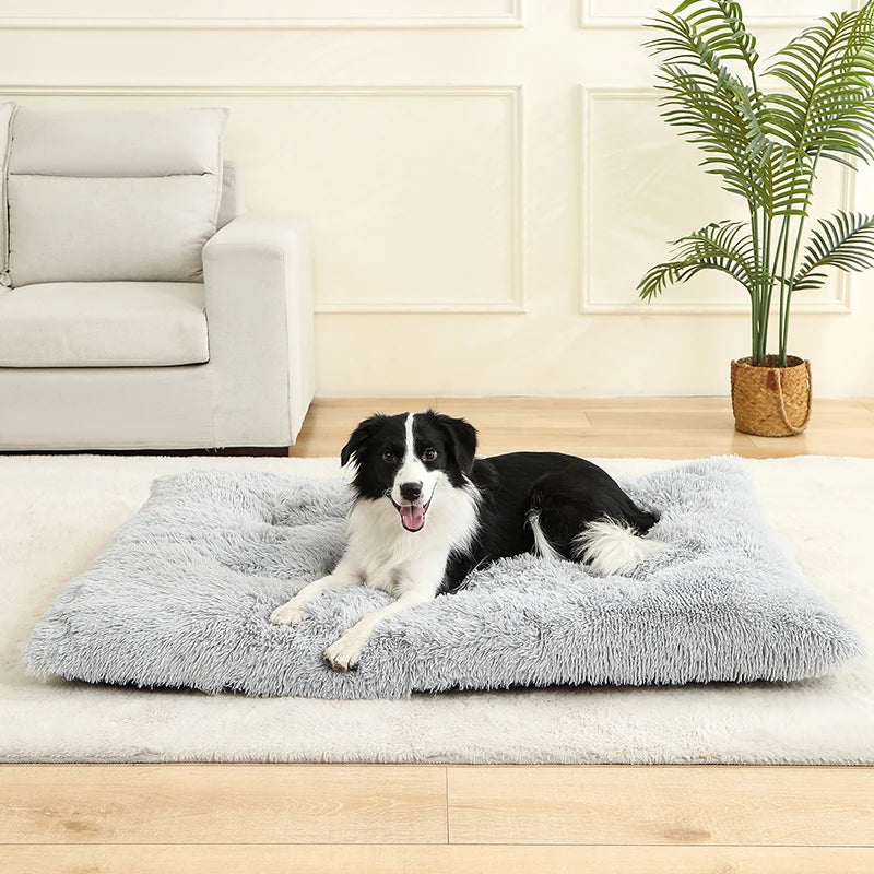 Lit en Peluche Ultra Doux pour Chien et Chat – Panier Confort & Sommeil Réparateur